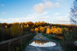 Осень - внутри.