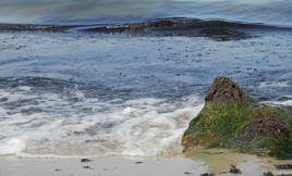 Puissante beauté de la mer