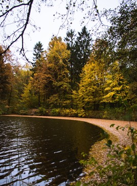 Пасмурная осень