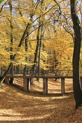 Осень