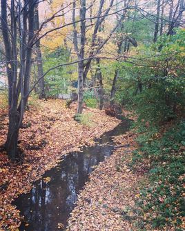 Осень. Сказочный чертог, всем открытый для обзора...