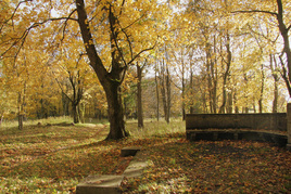 парк Добровольский