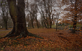 осень в зоопарке