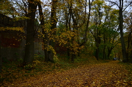 Парк Железнодорожный, п. Железнодорожный.