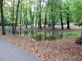 Осенний парк