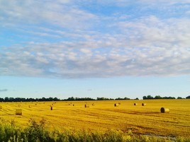 Буйство красок