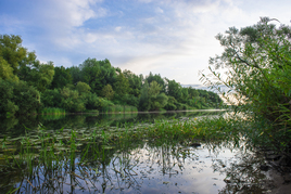 Преголь