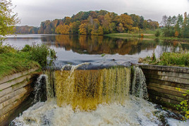 Краски осени.