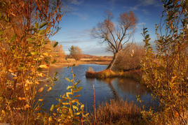 В красках осени