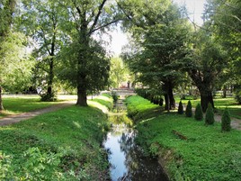 Пруд в парке "Юность"