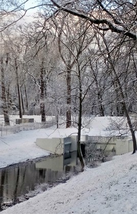 Зимний пруд