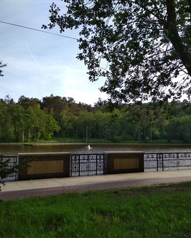Краски лета