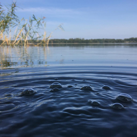 Водяной