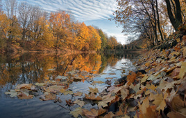 Осенний пруд в Южном парке