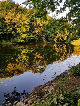 Ранняя осень в парке