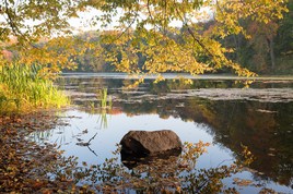 Осень над водной гладью