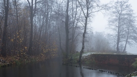 Туман сошел на Школьный пруд