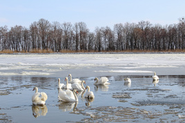 Прогулка