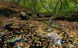 Осенний водоворот