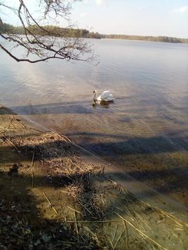 Водные объекты