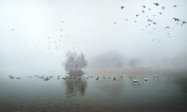 Туман над Летним озером