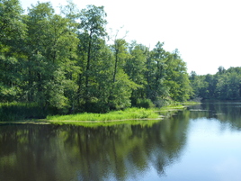 Красота Канала Полесского района