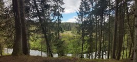 Река Красная