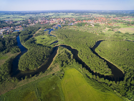 Rzeka Węgorapa