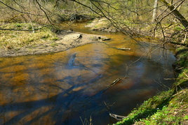 Река, где водится форель