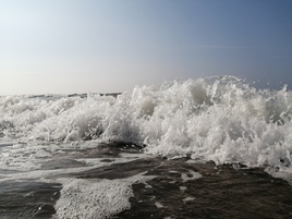 Балтийская волна 