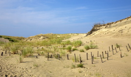 Балтийские пески.