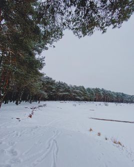 Залив зимой 