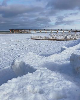 Море замерзло 