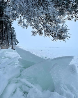 Движение льдов