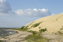 Дюна Куршской косы