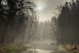 Mglisty poranek nad Rzeką Łyną