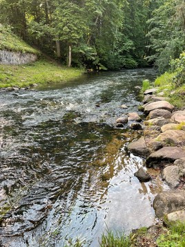 Река Красная