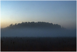 Polder rzeki Łyny na terenie Olsztyna 6145a