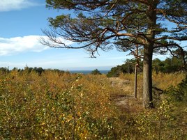 Осень. Куршская коса