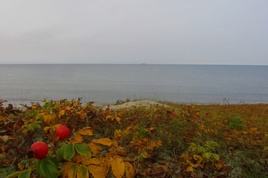 Флаг Балтики